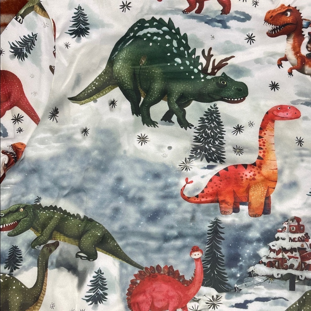 Christmas Holiday Dinosaur Hooded Sweatshirt Youth 4-6 Years Unisex - Picture 3 of 5